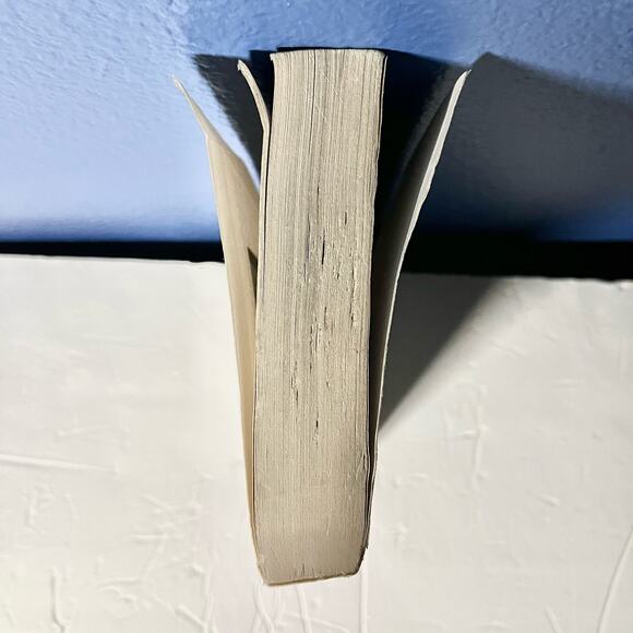 The Journey from Abandonment to Healing: Revised and Updated - Picture 4 of 7